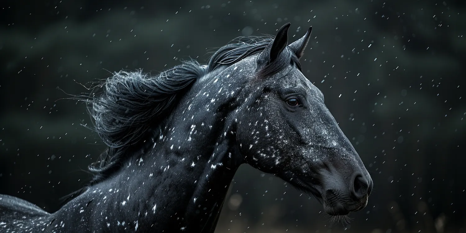 Co zrobić, gdy umiera ukochane zwierzątko?