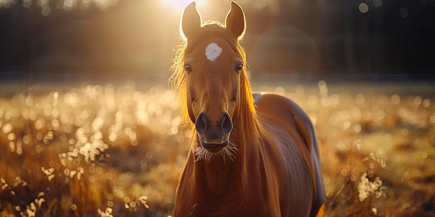 Krematorium dla zwierząt - miejsce wyjątkowe dla właścicieli zwierząt