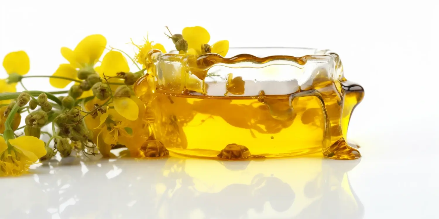 Czym wyróżnia się miód gryczany?